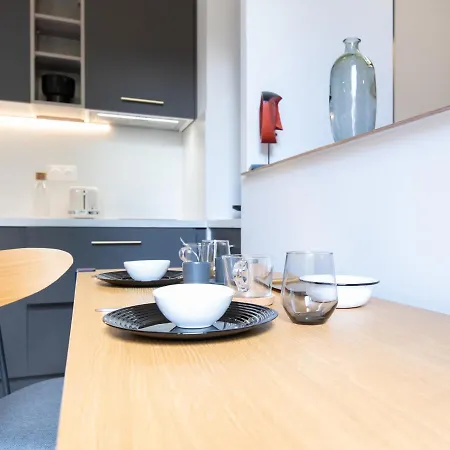 Luxury Apartment 